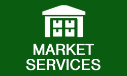 marketnew2